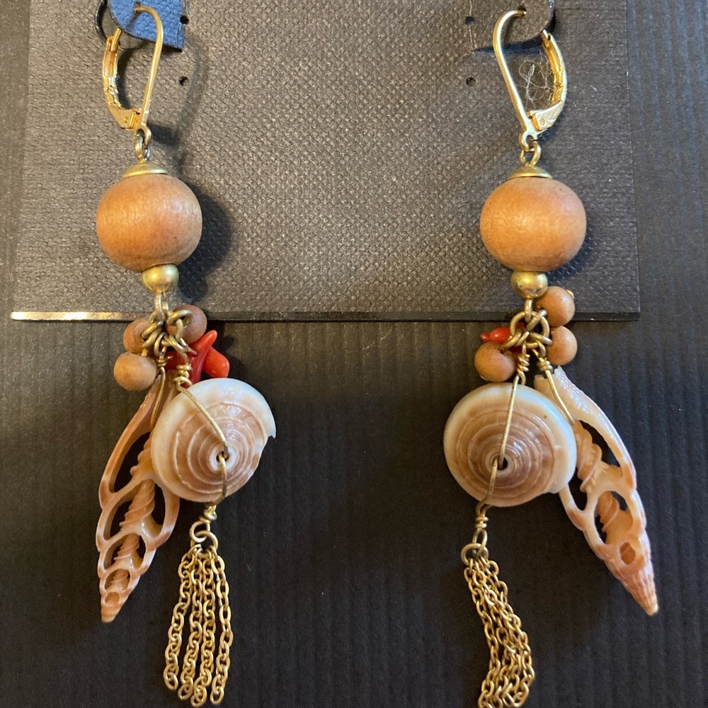 Earrings